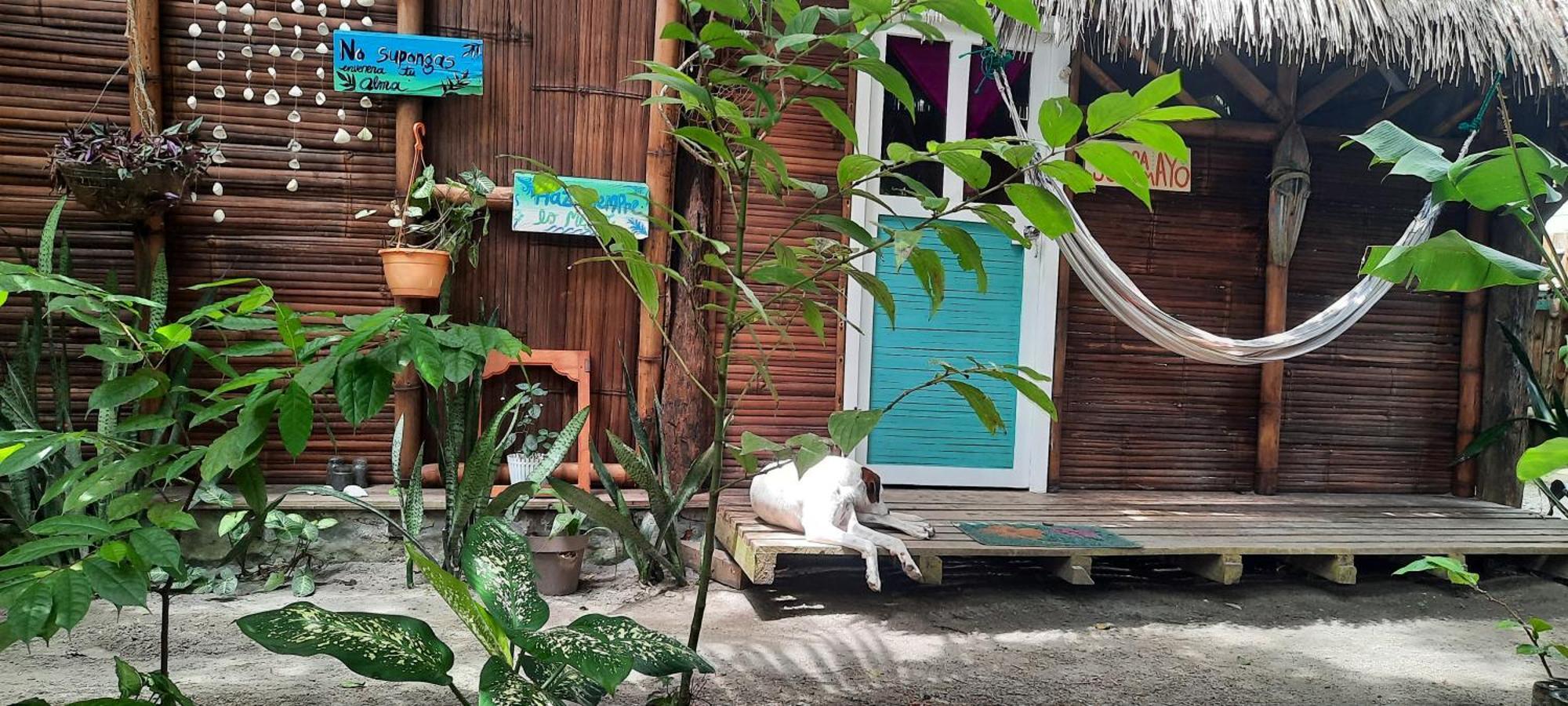 Hotel Raices Mompiche Pokój zdjęcie